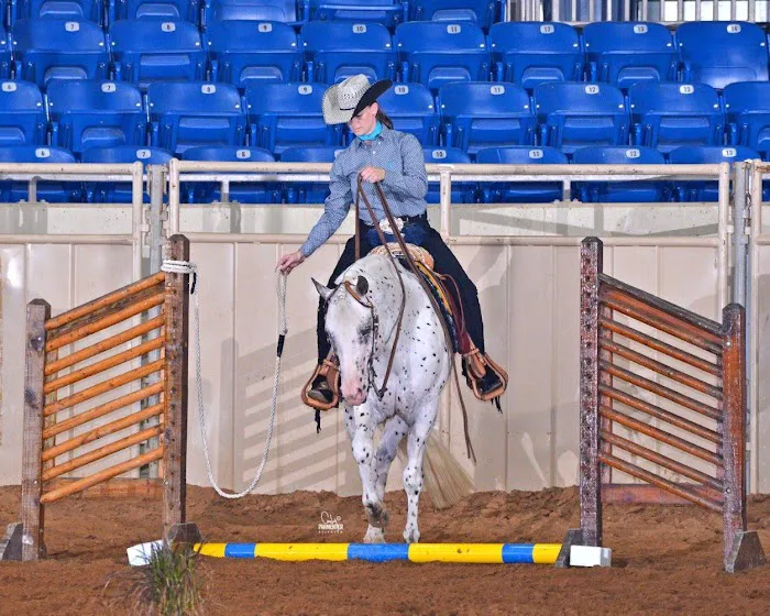 Hometown Veterinary Care Picture 9