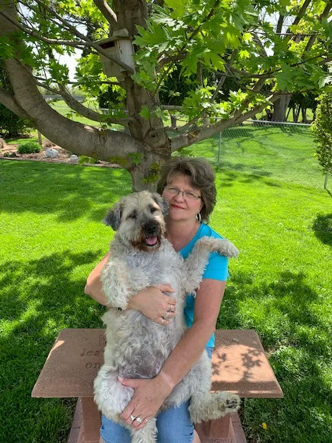 Hometown Veterinary Care Picture 7