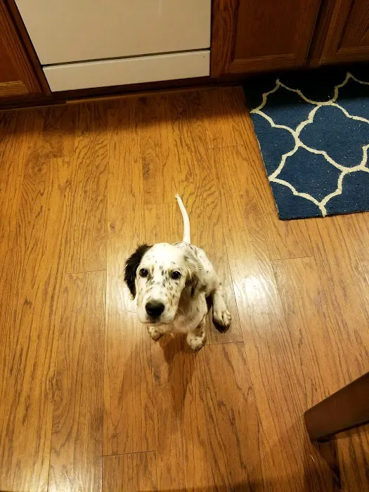 Hometown Veterinary Care Picture 10