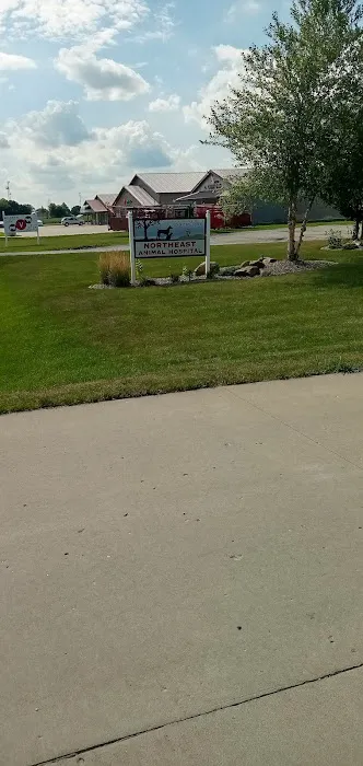 Northeast Animal Hospital Picture 3