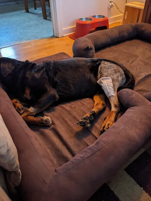 CARE Surgery Center Picture 3