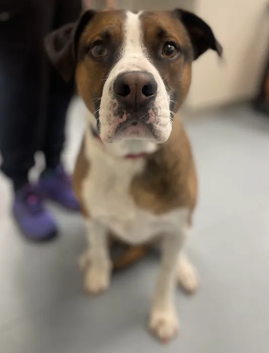 CARE Surgery Center Picture 6