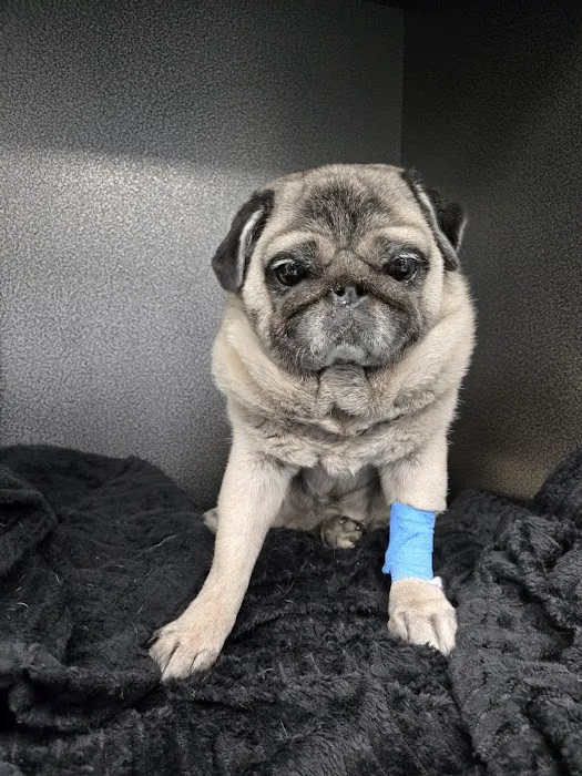 CARE Surgery Center Picture 5