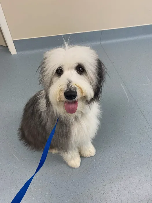 CARE Surgery Center Picture 7