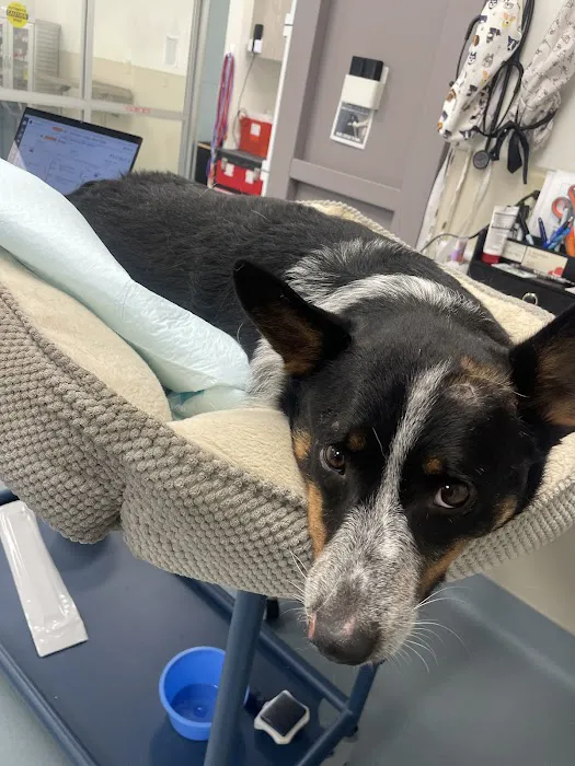 CARE Surgery Center Picture 8