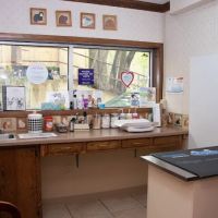 Center for Animal Health ico