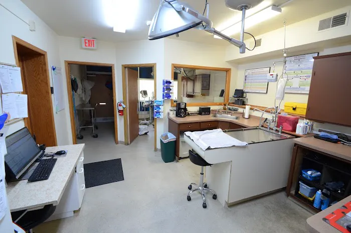 Center for Animal Health Picture 6