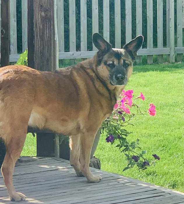 East Tosa Veterinary Clinic Picture 2