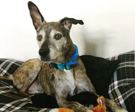 East Tosa Veterinary Clinic