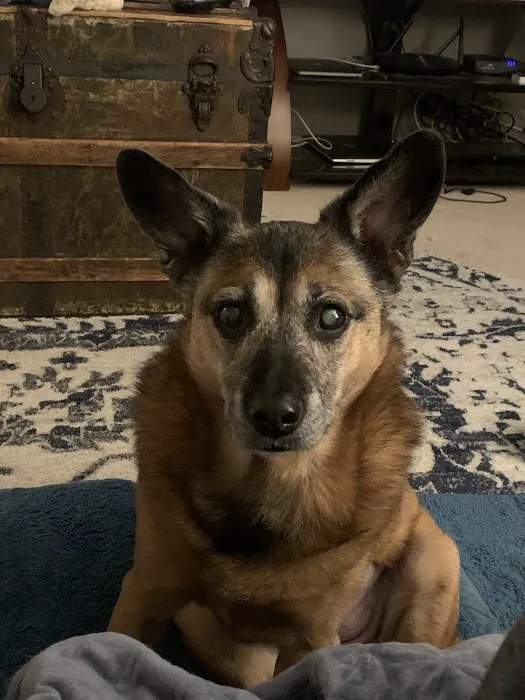 East Tosa Veterinary Clinic Picture 3