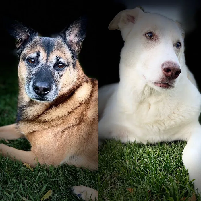 East Tosa Veterinary Clinic Picture 5