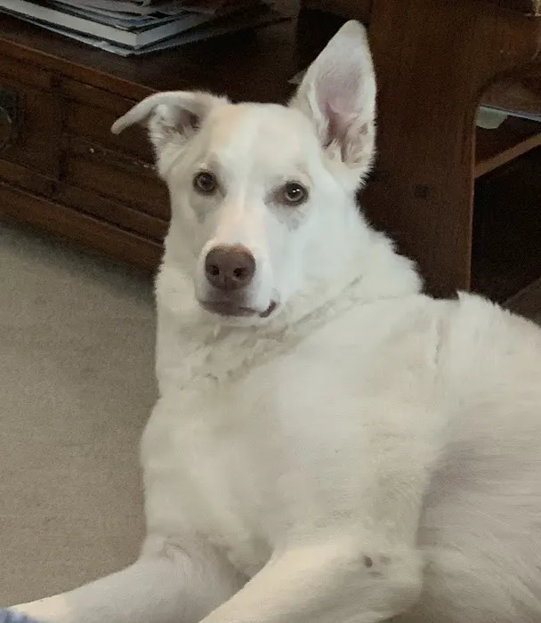 East Tosa Veterinary Clinic Picture 4