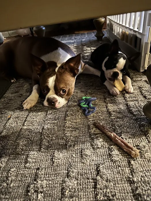 East Tosa Veterinary Clinic Picture 8