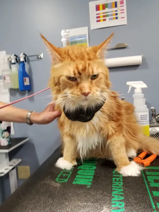 East Tosa Veterinary Clinic Picture 10