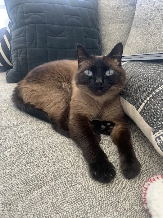 East Tosa Veterinary Clinic Picture 6