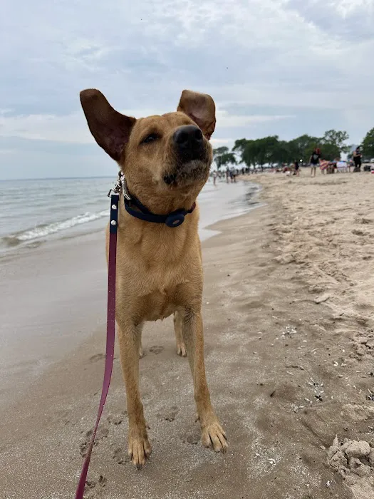 East Tosa Veterinary Clinic Picture 9