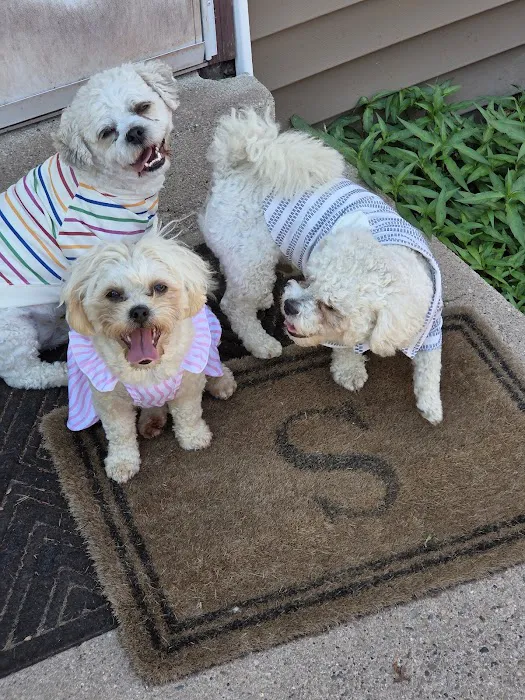 St. Paul Veterinary Clinic Picture 3