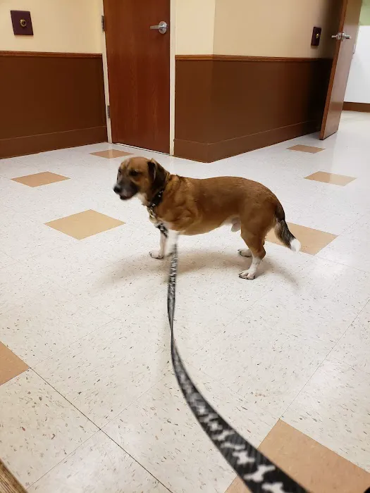 St. Paul Veterinary Clinic Picture 2