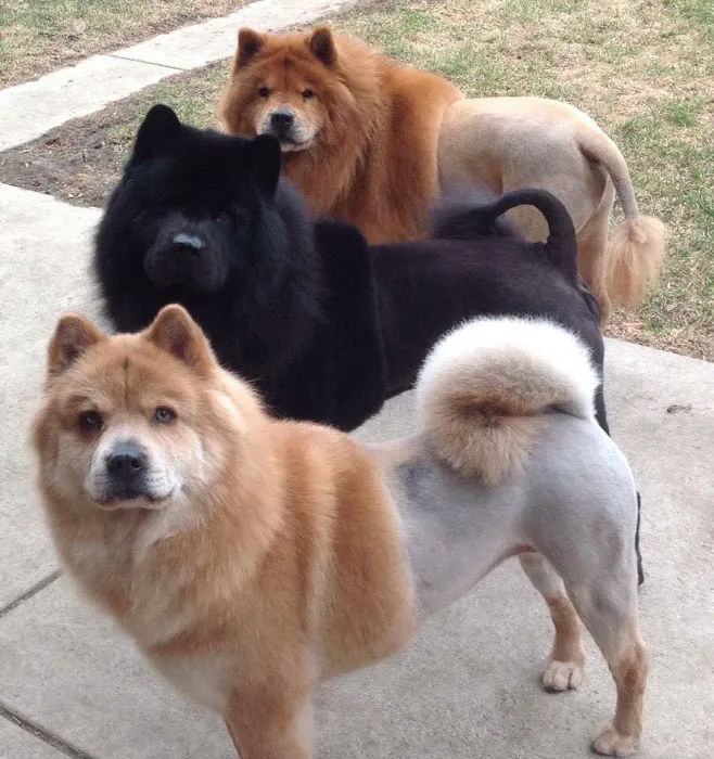 St. Paul Veterinary Clinic Picture 6