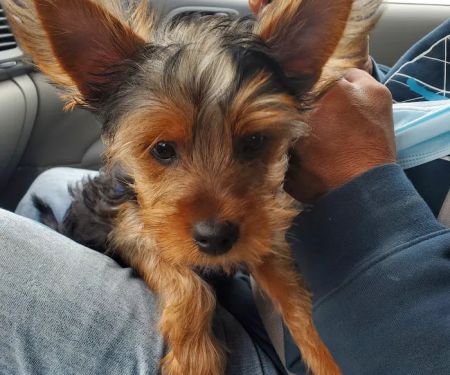 St. Paul Veterinary Clinic