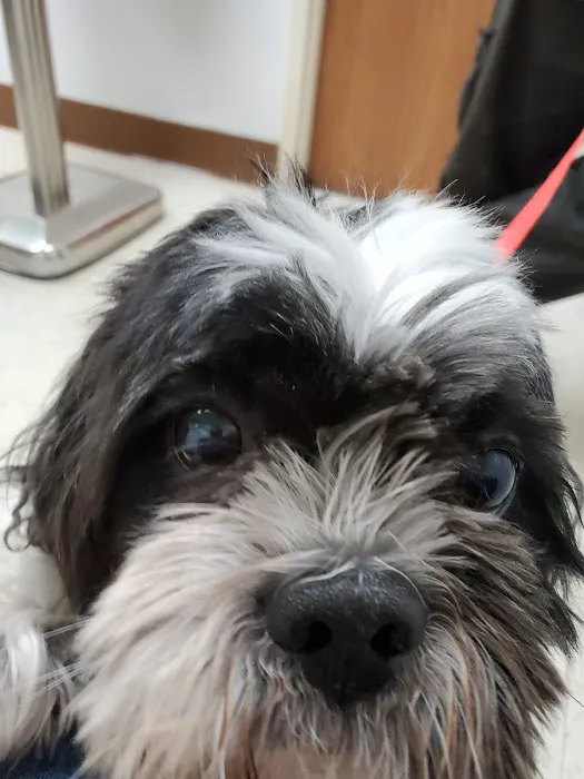 St. Paul Veterinary Clinic Picture 9