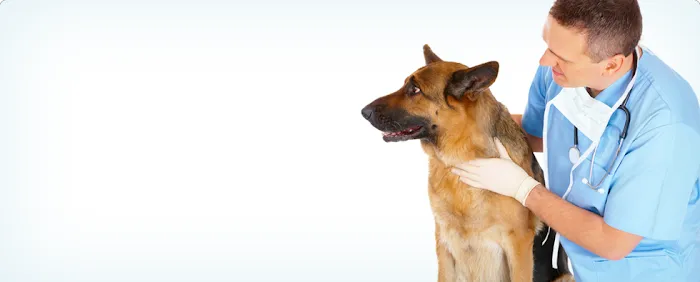 St. Paul Veterinary Clinic Picture 10