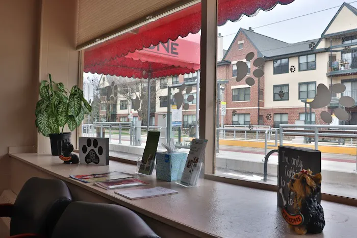 Downtown Veterinary Clinic Picture 3