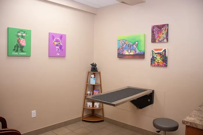 Downtown Veterinary Clinic Picture 6