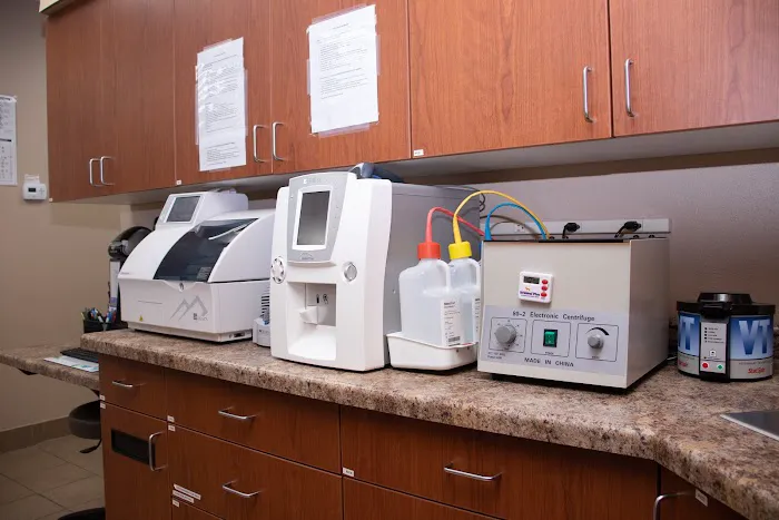 Downtown Veterinary Clinic Picture 9