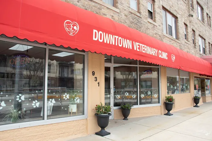 Downtown Veterinary Clinic Picture 7