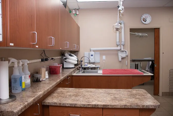Downtown Veterinary Clinic Picture 10