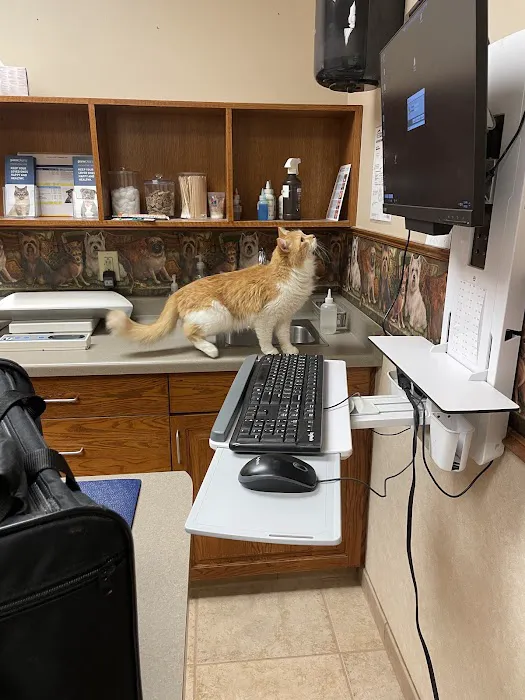 Small Animal Hospital Picture 2