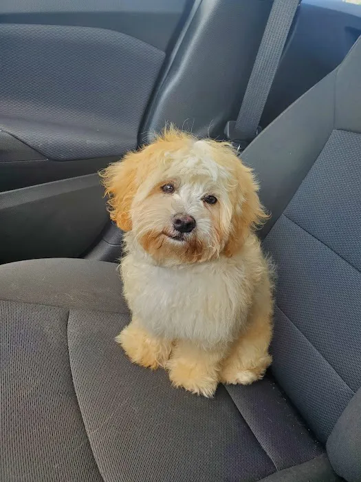 Small Animal Hospital Picture 7