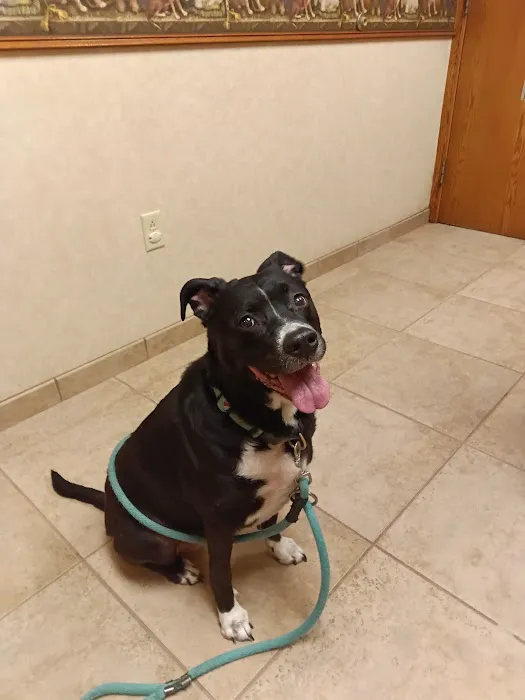 Small Animal Hospital Picture 9