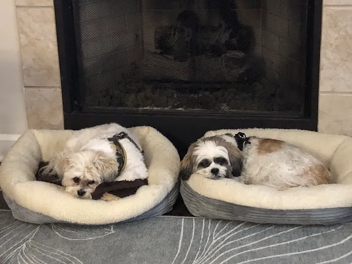 Small Animal Hospital Picture 5