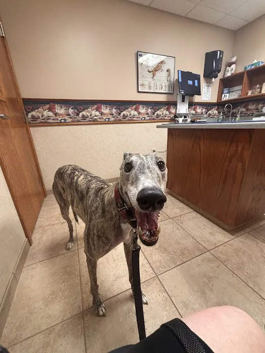 Small Animal Hospital Picture 10