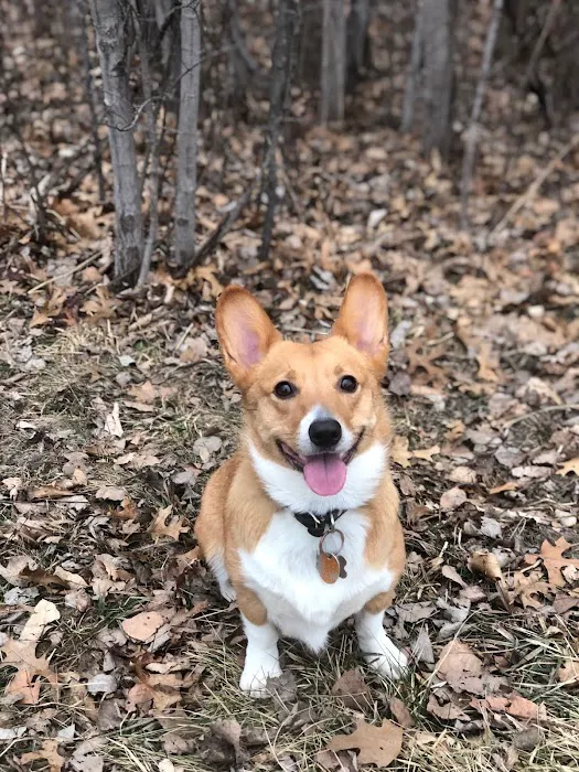 Harwood Veterinary Hospital, LLC Picture 2