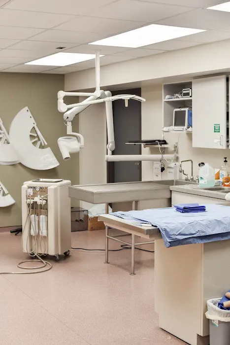 Harwood Veterinary Hospital, LLC Picture 10