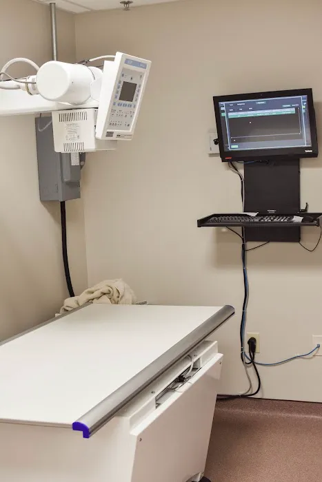 Harwood Veterinary Hospital, LLC Picture 6