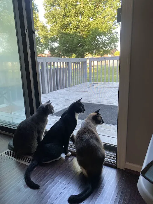 Wauwatosa Veterinary Clinic Picture 1