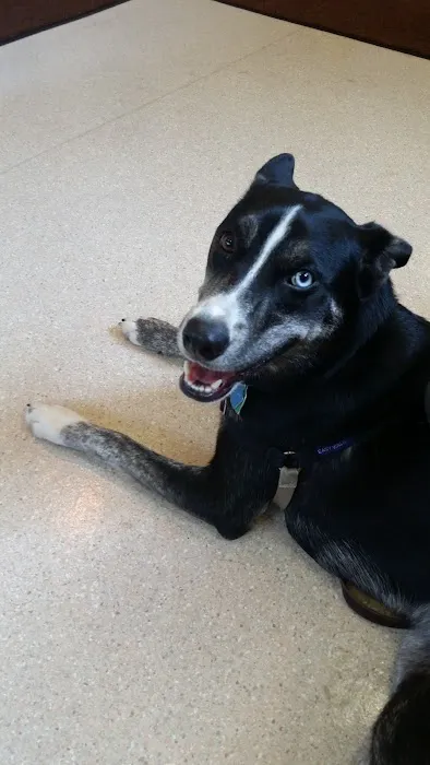 Wauwatosa Veterinary Clinic Picture 7