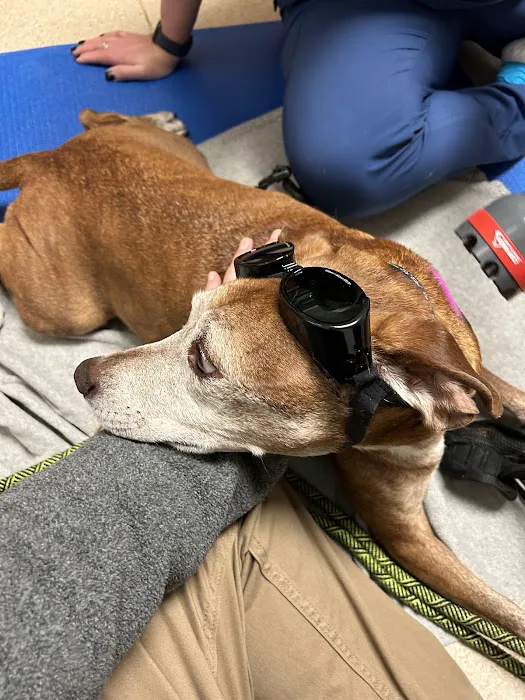 Wauwatosa Veterinary Clinic Picture 3