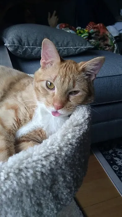 Wauwatosa Veterinary Clinic Picture 5