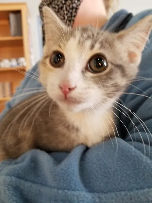 Wauwatosa Veterinary Clinic Picture 2