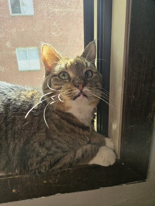 Wauwatosa Veterinary Clinic Picture 9