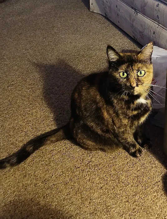 Pet Partners Animal Clinic Picture 8