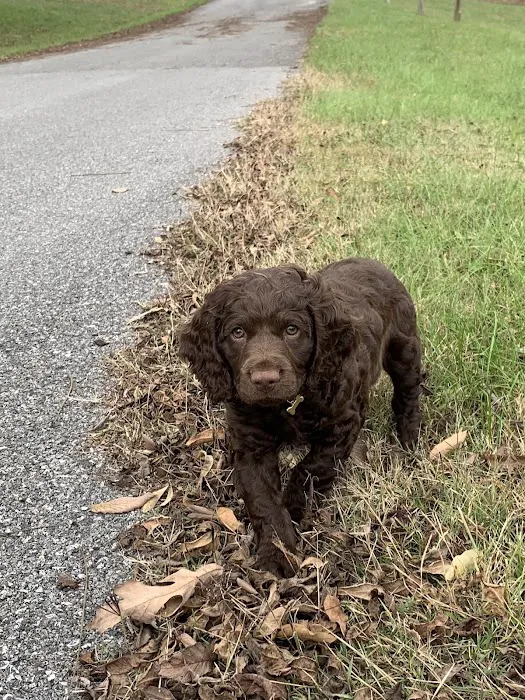 Pet Partners Animal Clinic Picture 10