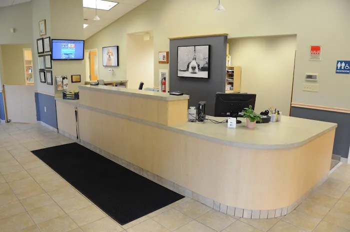 Animal Clinic In Sussex Picture 1