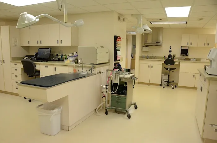 Animal Clinic In Sussex Picture 3