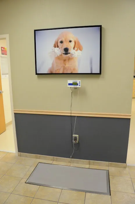 Animal Clinic In Sussex Picture 2